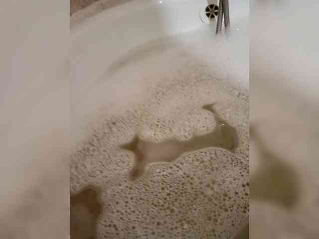 Vpomezmostb Vpomezmostb