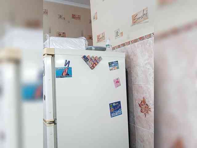 -Feral-Berry- webcam