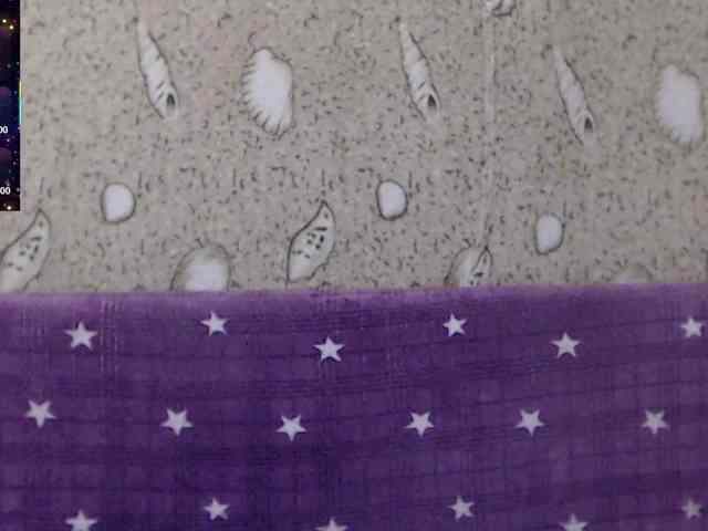 _Redhead_fox_ webcam