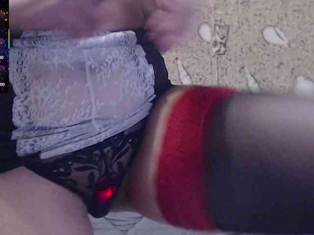 _Redhead_fox_ webcam