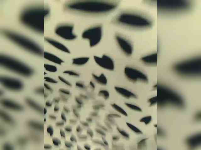 adult chat Liza17Liza
