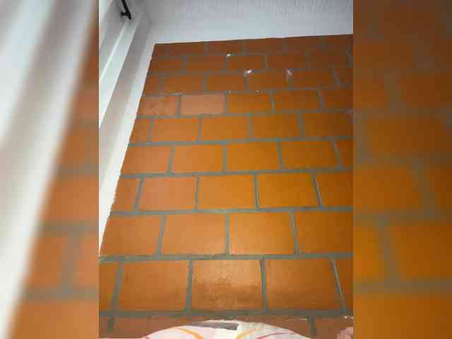 Karlacortes webcam