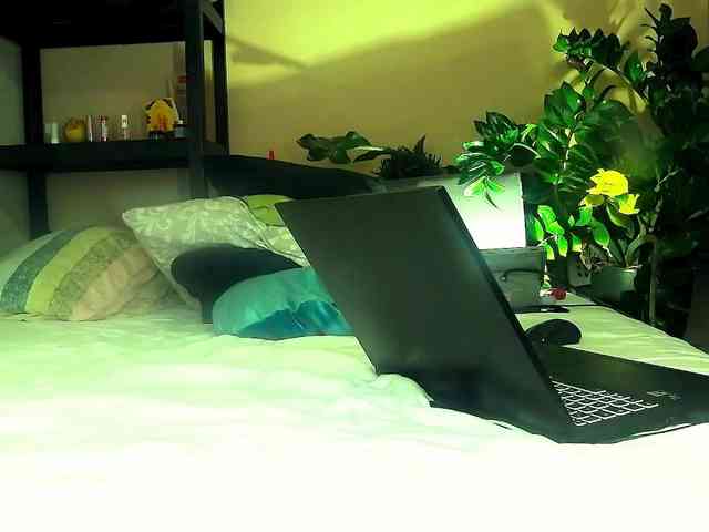 SmileDance webcam