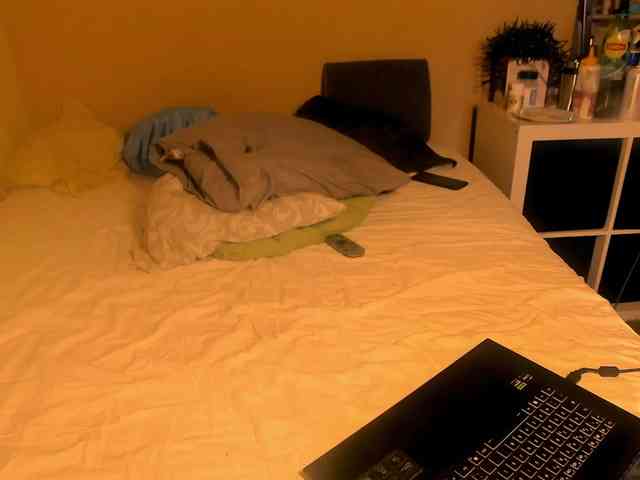 SmileDance webcam