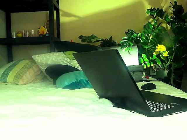 SmileDance webcam