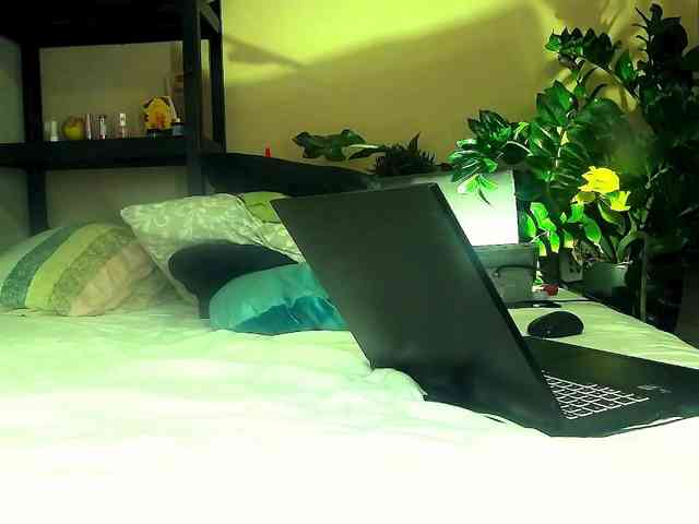 SmileDance webcam