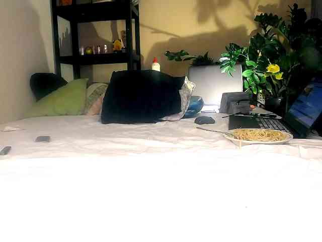 SmileDance webcam