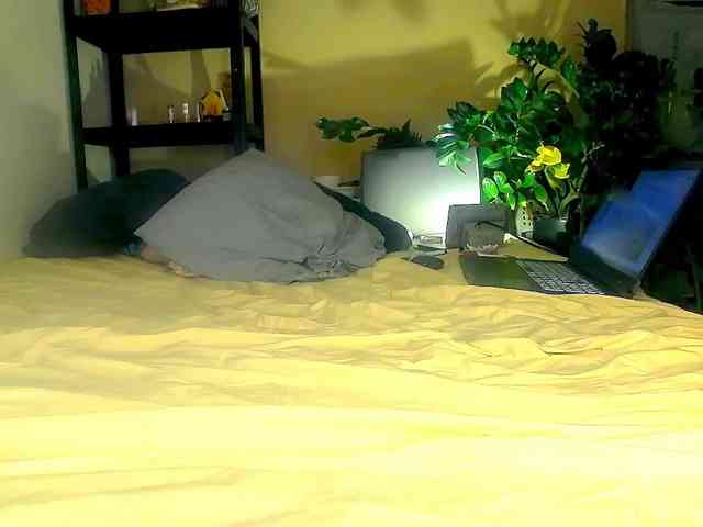 SmileDance webcam