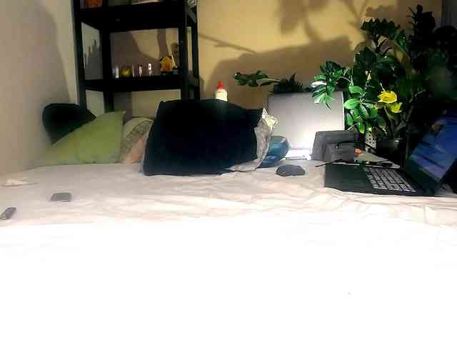 SmileDance webcam