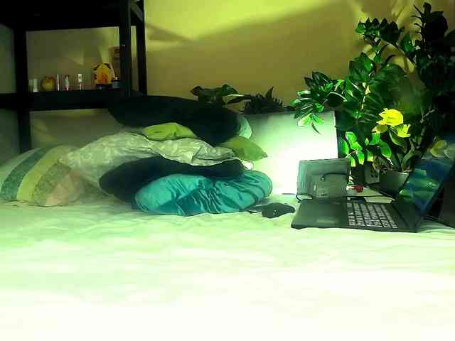 SmileDance webcam