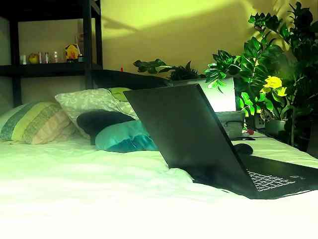 SmileDance webcam