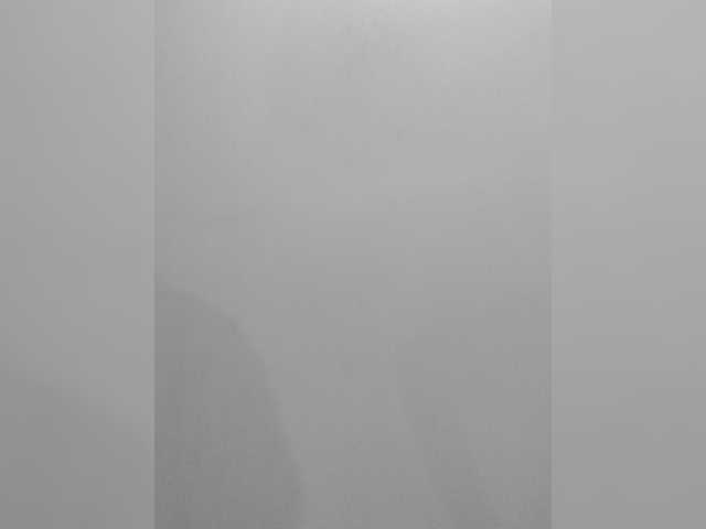 NEW_SWEET_BERRY preview