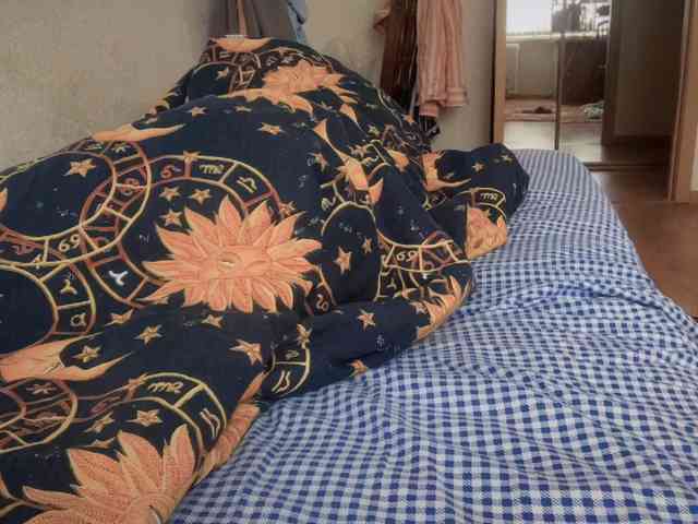 Didihotxxx