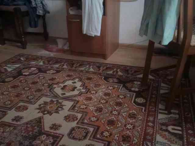 Didihotxxx Didihotxxx