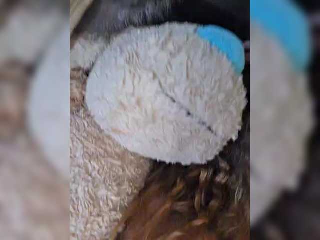 видео HairyCrotch