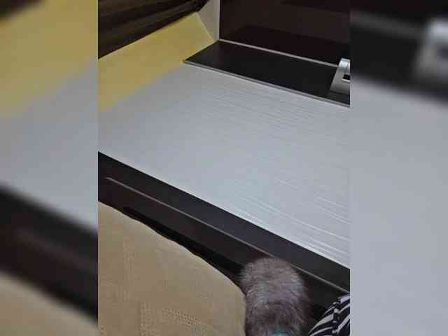 HairyCrotch HairyCrotch