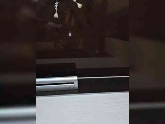 HairyCrotch HairyCrotch