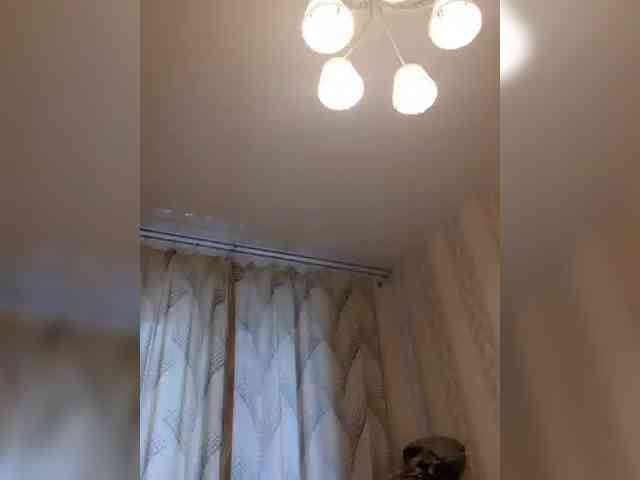 Zlykaa webcam