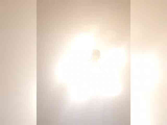 Zlykaa webcam