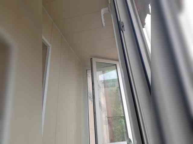 Zlykaa webcam