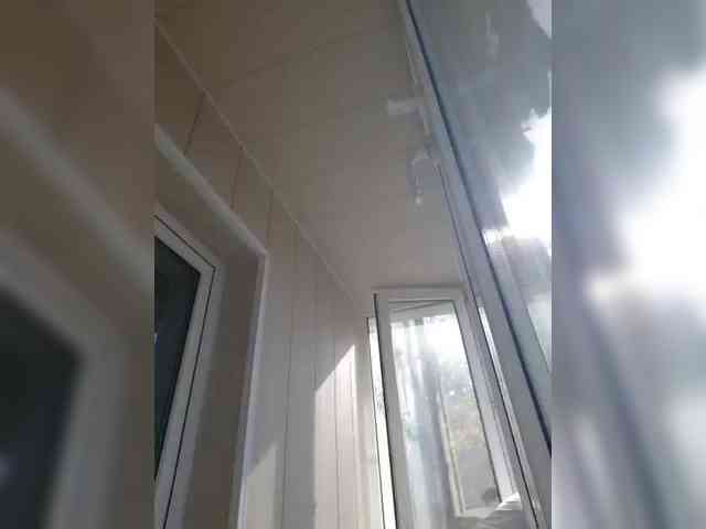 Zlykaa webcam