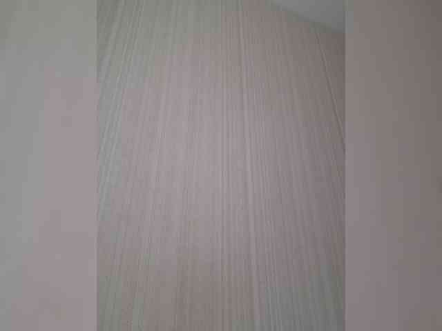 Zlykaa webcam