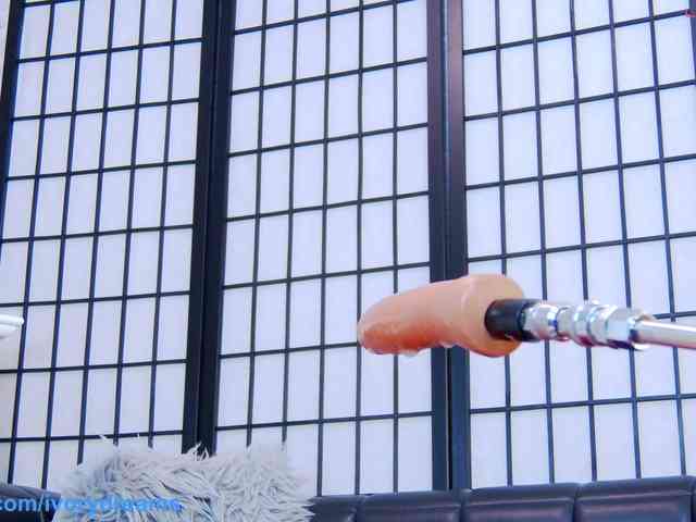 IvoryDreams IvoryDreams