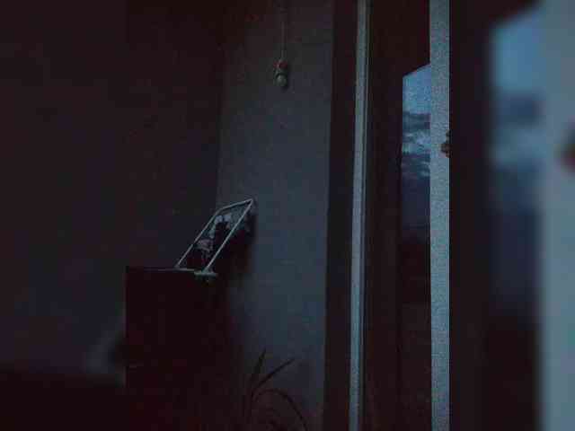 Stars777s1 webcam