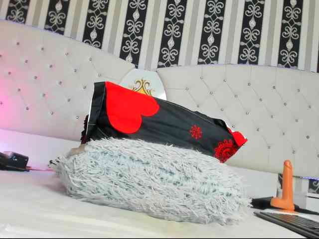 Aidasina webcam