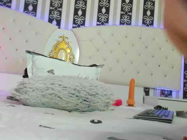 Aidasina webcam