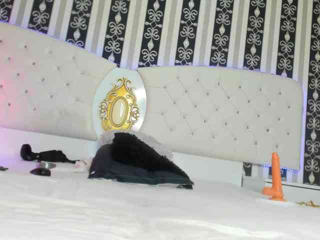 Aidasina webcam