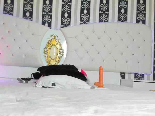 Aidasina webcam