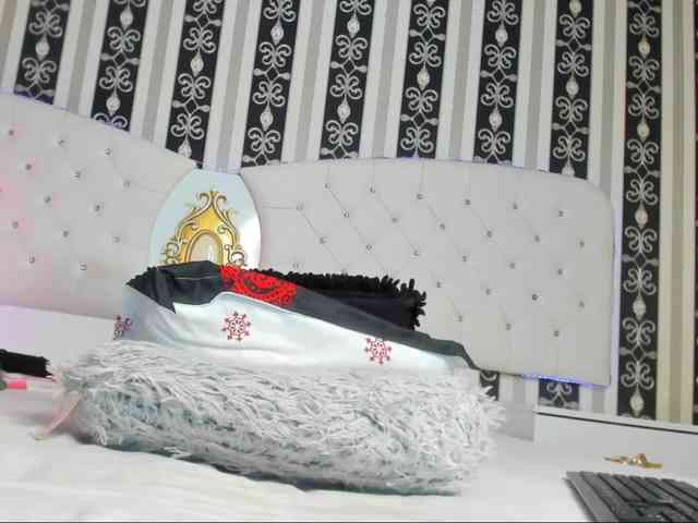 Aidasina webcam