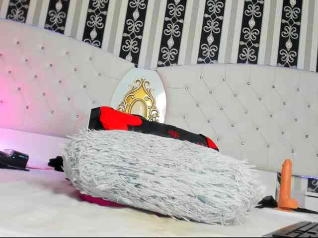 Aidasina webcam