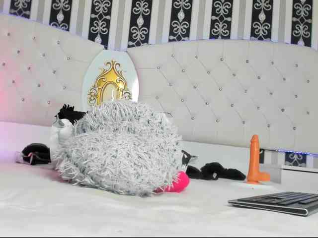 Aidasina webcam