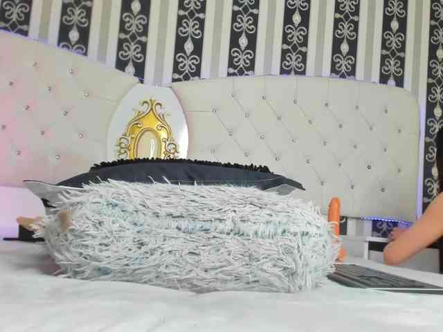 Aidasina webcam