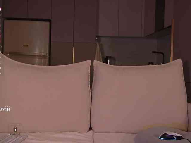SAVII webcam