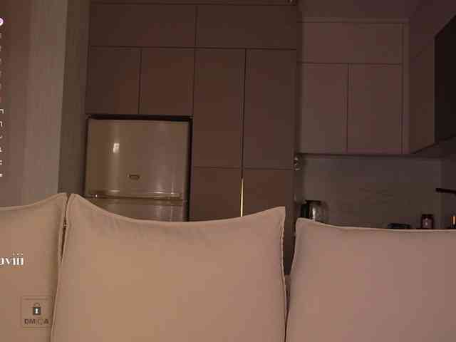SAVII webcam