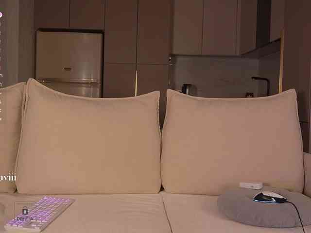 SAVII webcam