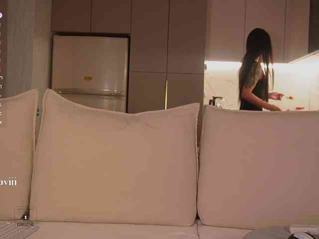 SAVII webcam