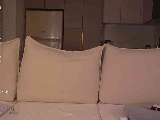 SAVII webcam