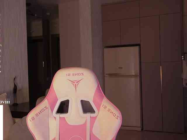 SAVII webcam