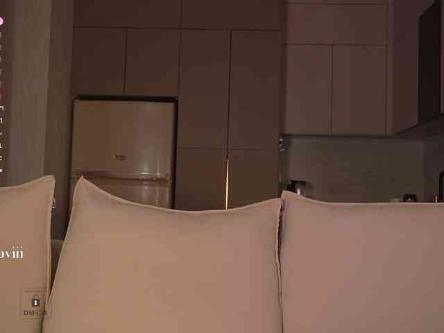 SAVII webcam