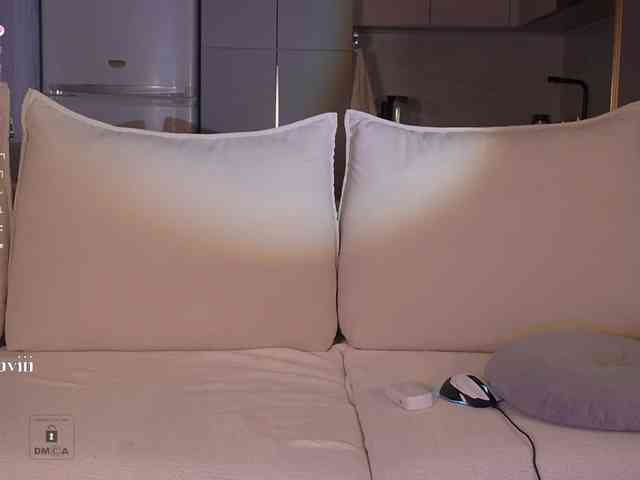 SAVII webcam