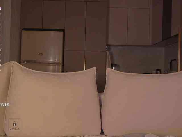 SAVII webcam