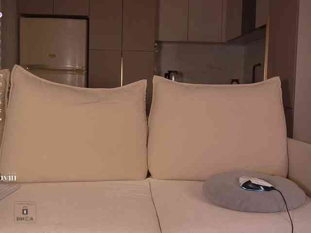 SAVII webcam