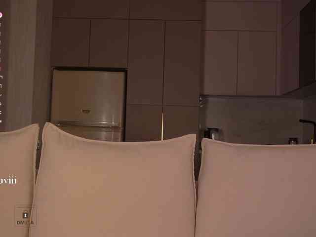 SAVII webcam