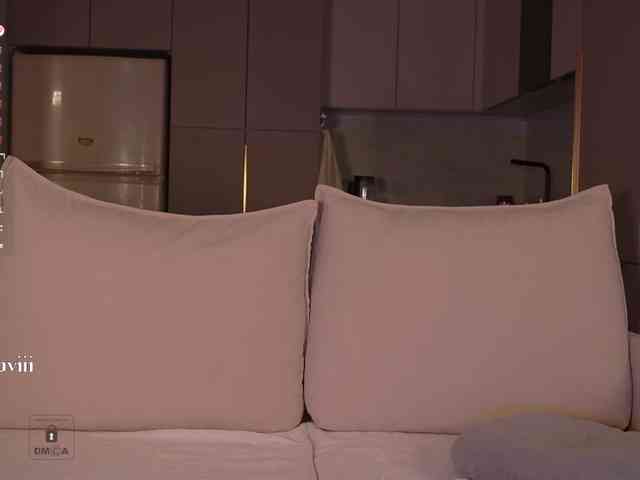 SAVII webcam