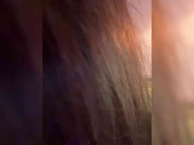 -fatal- webcam