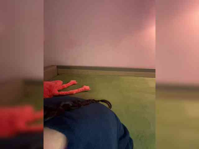 -fatal- webcam